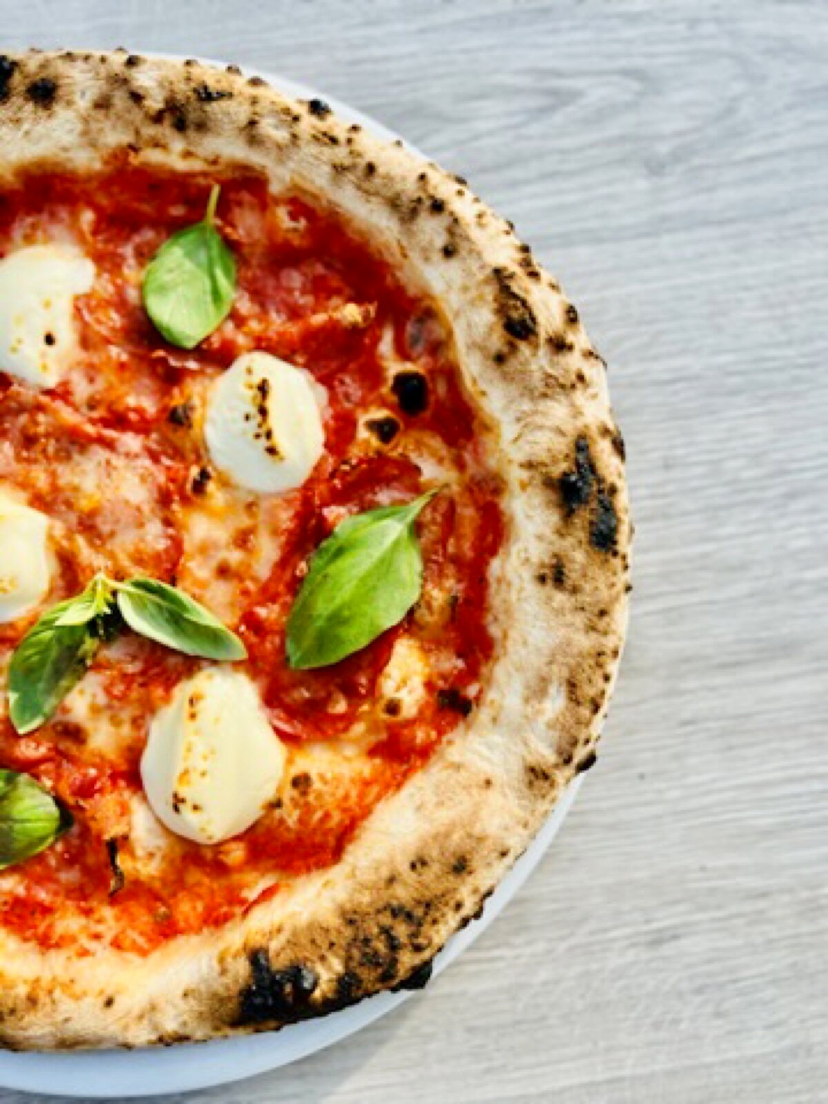 Margherita z mozzarellą fior di latte i świeżą bazylią